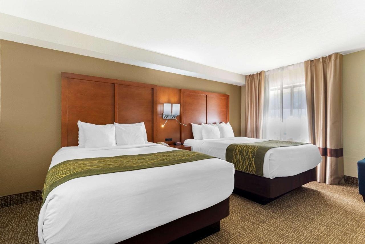 Comfort Inn & Suites - Near Robins Air Force Base Main Gate Warner Robins Εξωτερικό φωτογραφία
